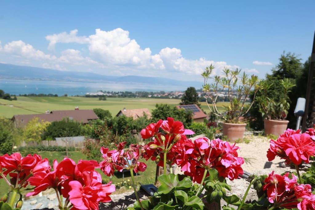 Chalet With Stunning Lake And Mountain Views Avec Une Vue A Couper Le Souffle, Une Spacieuse Terrasse Et Jardin Chatillon  المظهر الخارجي الصورة